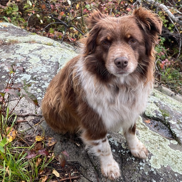 Meet your Posher, Lorna - Picture 1 of 1